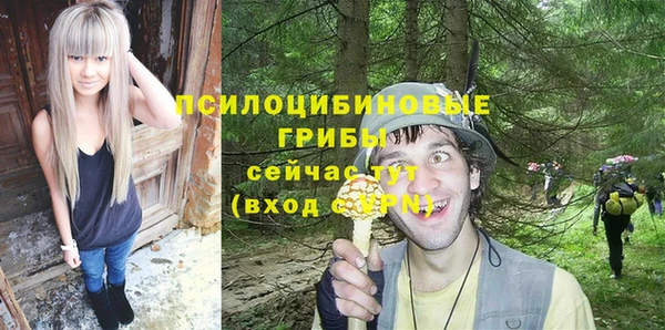 спиды Корсаков