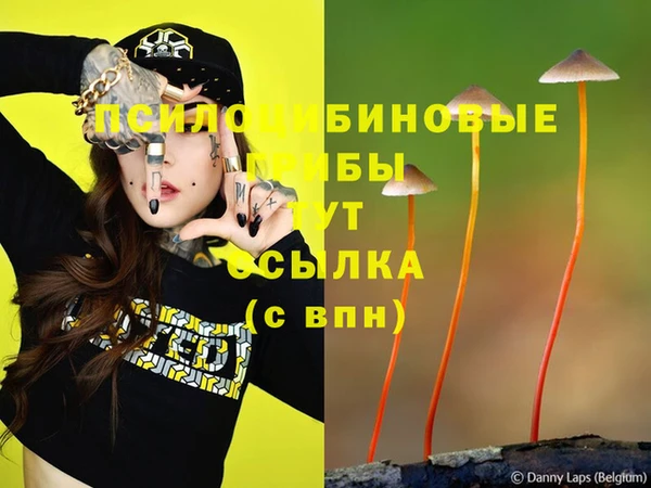 Альфа ПВП Коряжма
