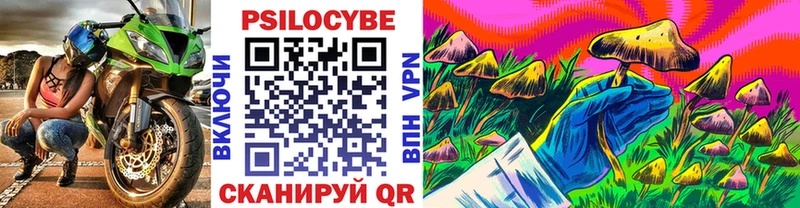 Купить где  Ессентукская  Псилоцибиновые грибы мухоморы 